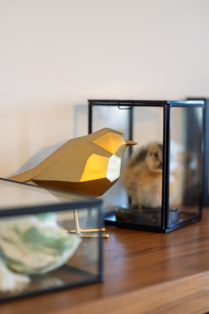 Foto 14 van Gelderseplein 35