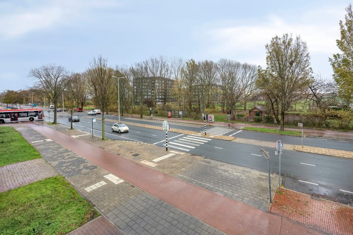 Foto 37 van Erasmusweg 1903