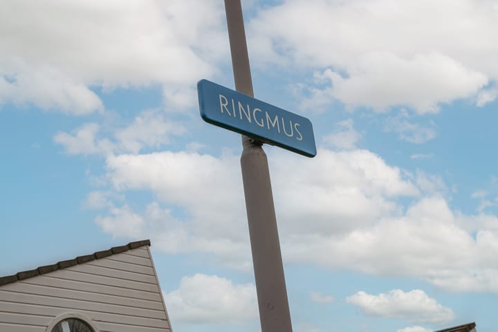 Foto 33 van Ringmus 78