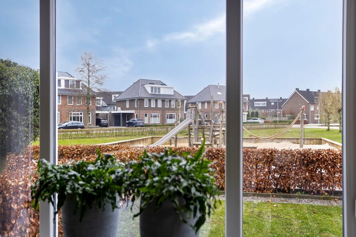 Foto 9 van Koolzaadakker 8