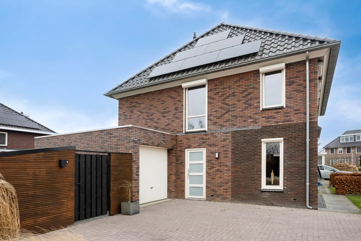 Foto 47 van Koolzaadakker 8