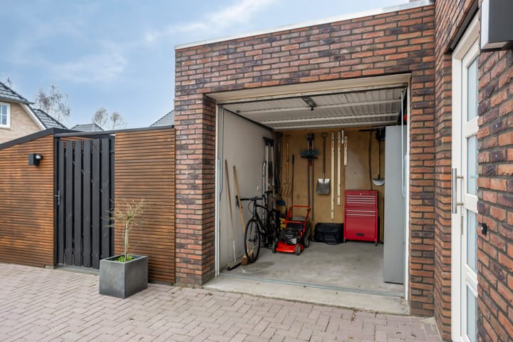 Foto 48 van Koolzaadakker 8