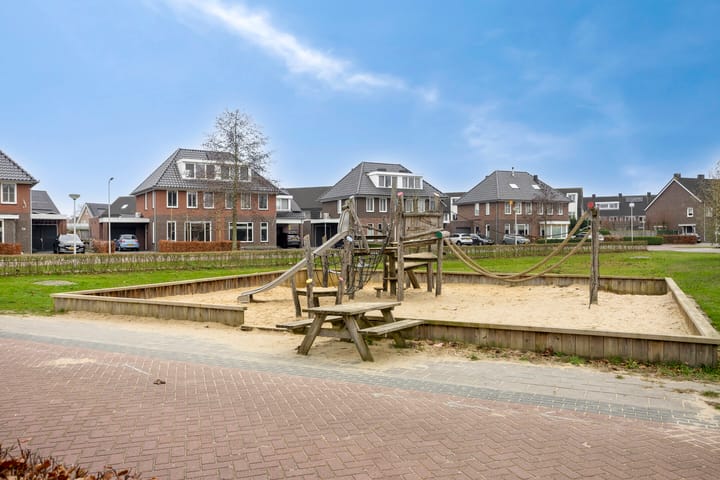 Foto 49 van Koolzaadakker 8