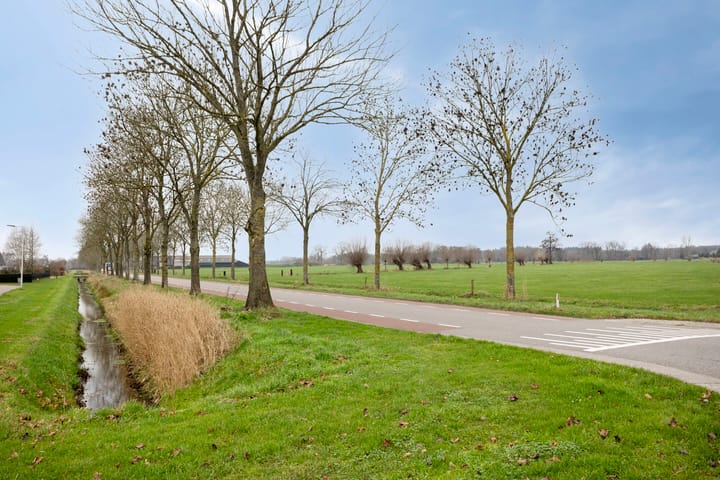 Foto 51 van Koolzaadakker 8