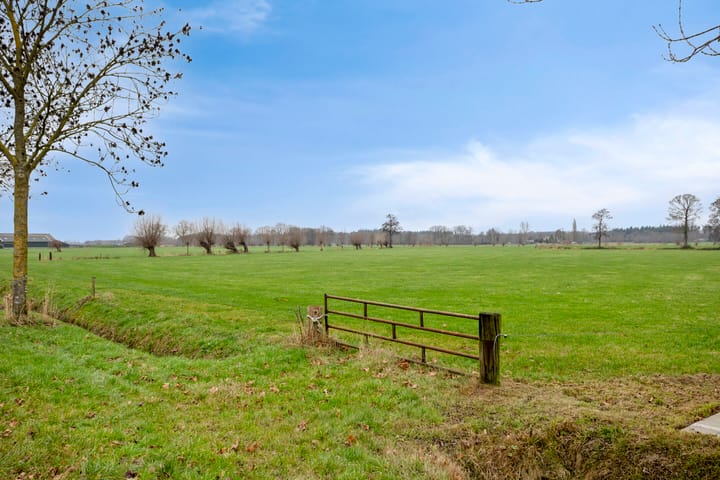 Foto 52 van Koolzaadakker 8