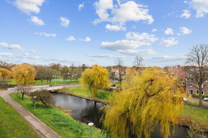 Foto 5 van Prinses Ireneplateau 93