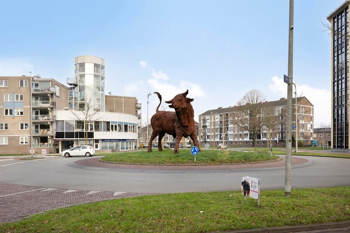 Photo 29 of Kreupelstraat 6-C