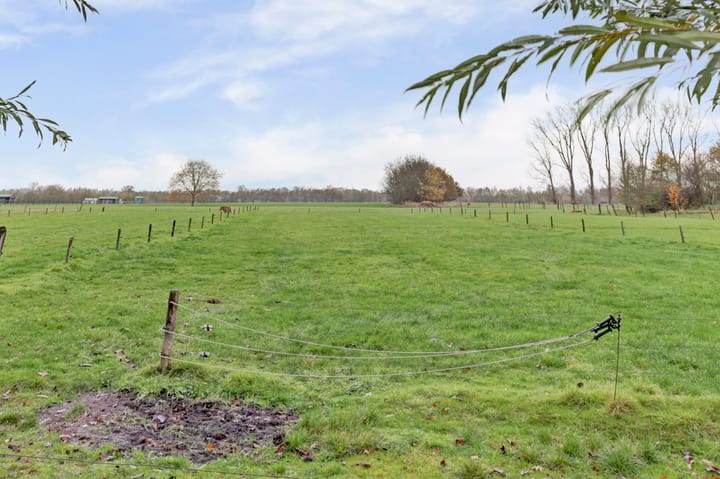 Foto 5 van Heikantsestraat 4