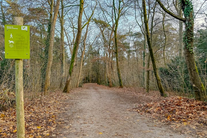 Foto 59 van Boslaan 10