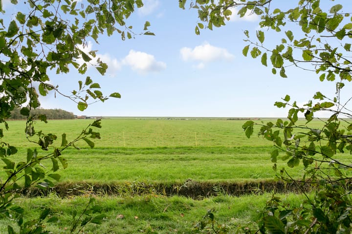 Photo 5 of Rijspolder 46