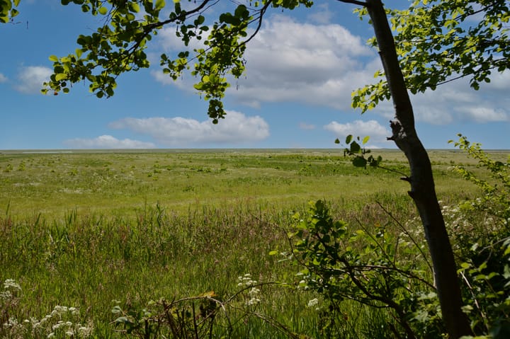 Photo 28 of Rijspolder 46