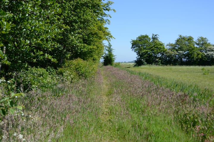 Photo 29 of Rijspolder 46