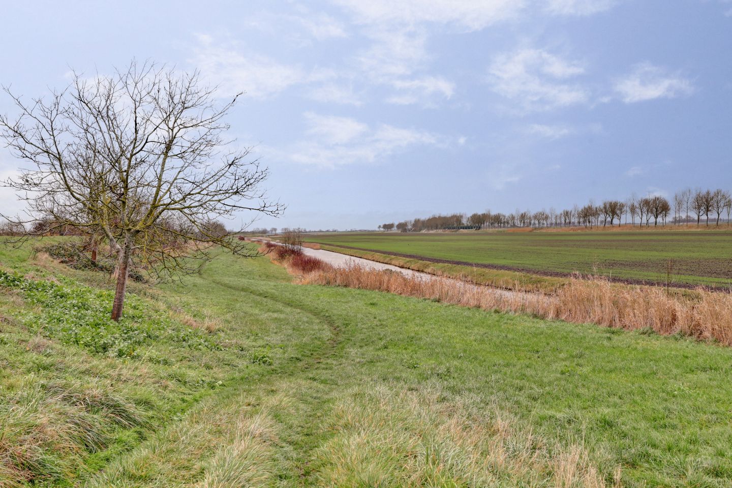 Foto 34 van de Wittestraat 9