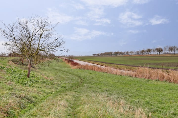 Photo 34 of de Wittestraat 9