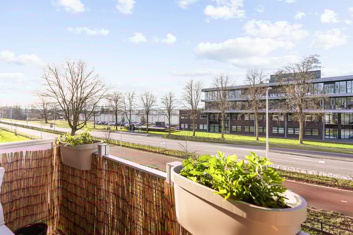 Photo 20 of Oude Lossersestraat 16