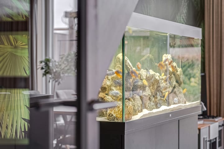 Foto 10 van Hagenstein 122