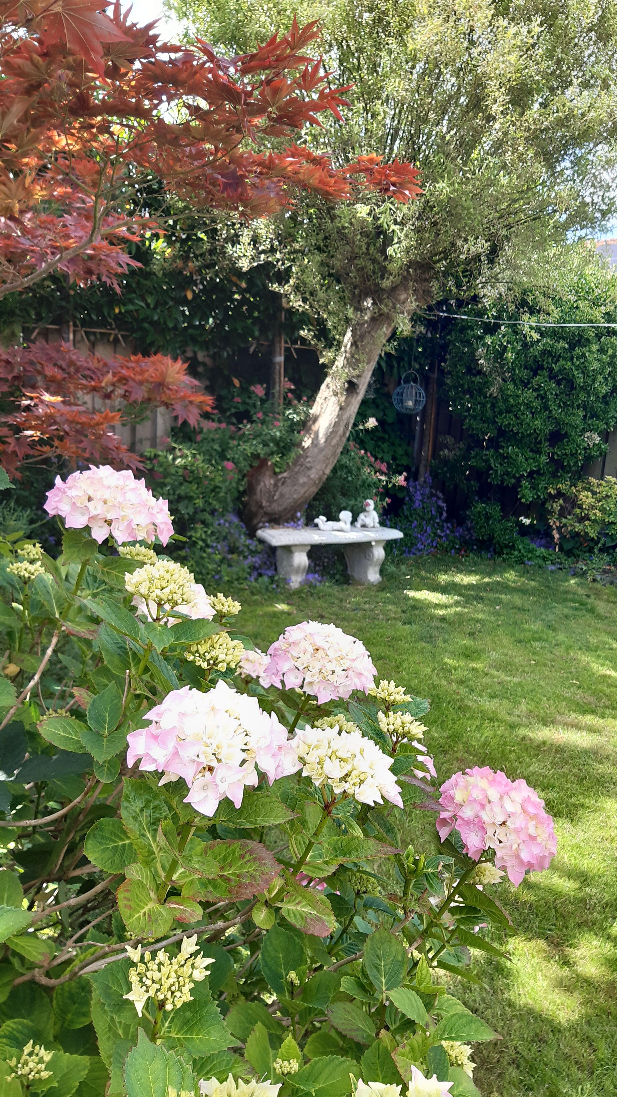 Photo 27 of Habijt 91