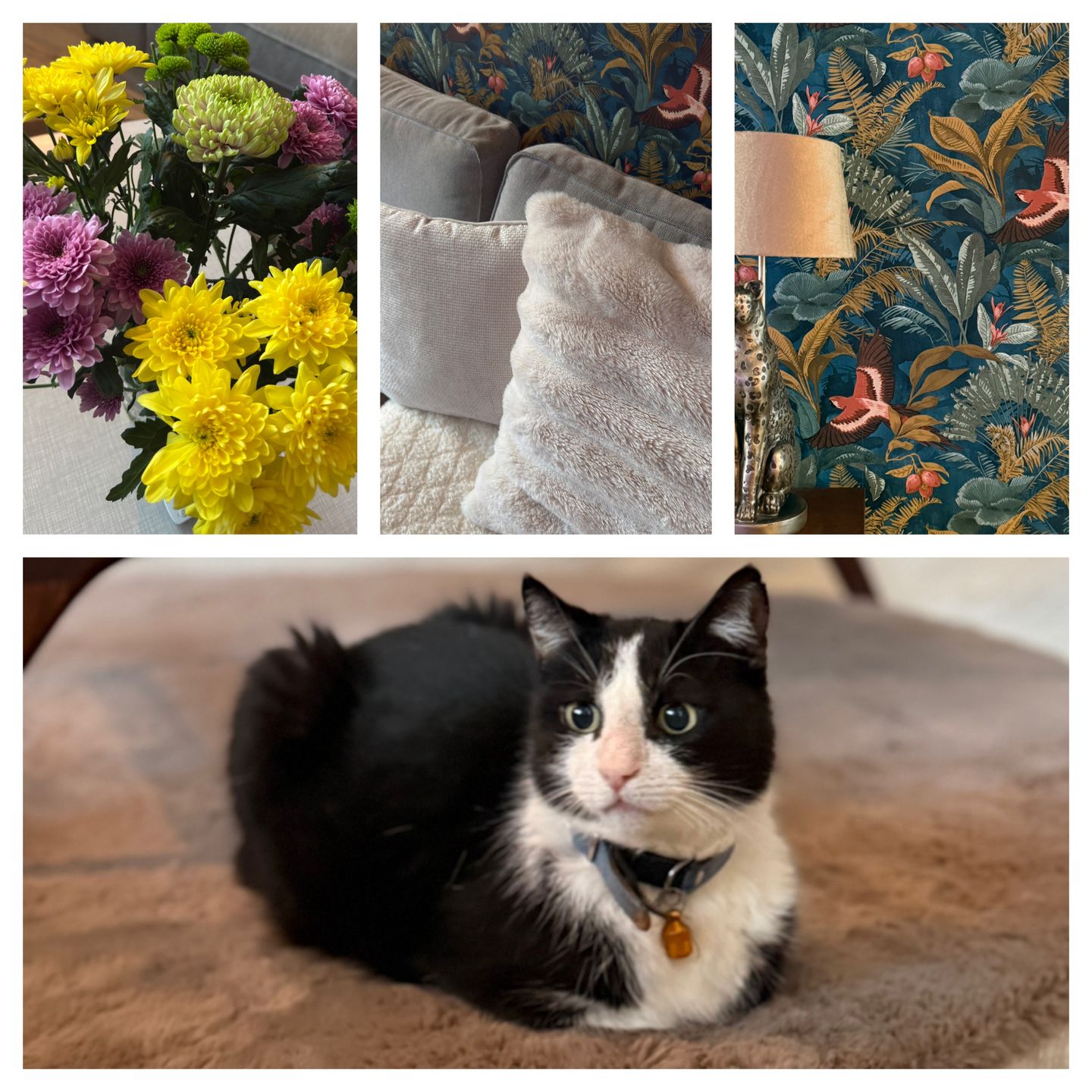 Foto 14 van F.J. Ebbensstraat 101