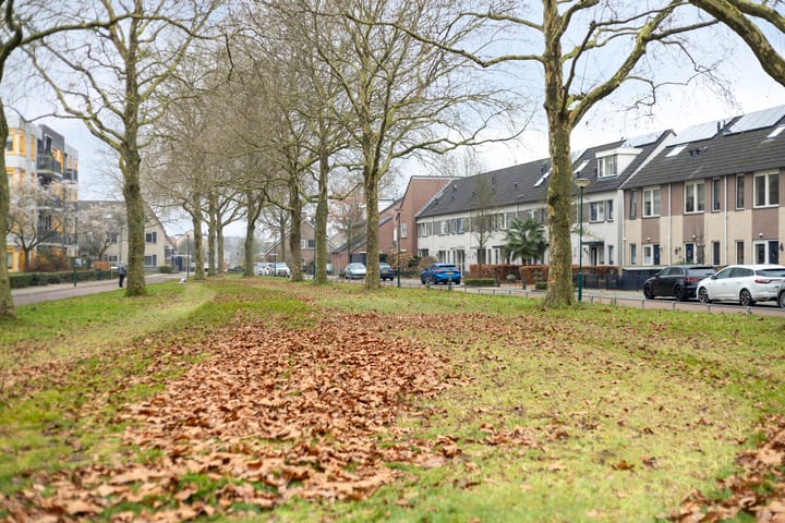 Foto 27 van Dagpauwooglaan 5