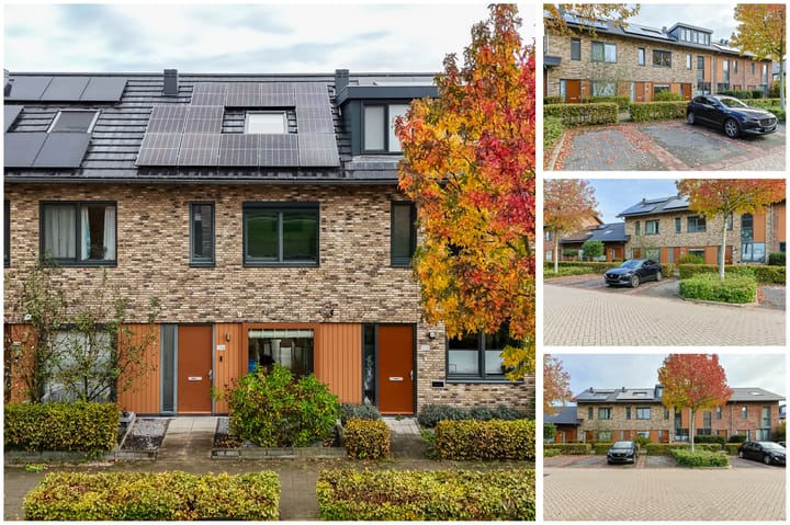 Foto 4 van Lisdodde 106