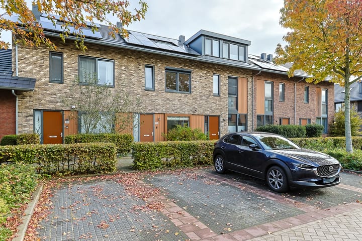 Foto 2 van Lisdodde 106