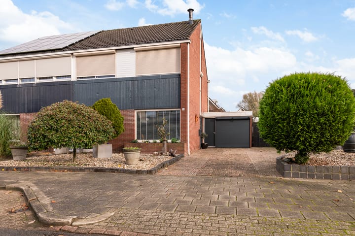 Borg Ewsum 96 main image