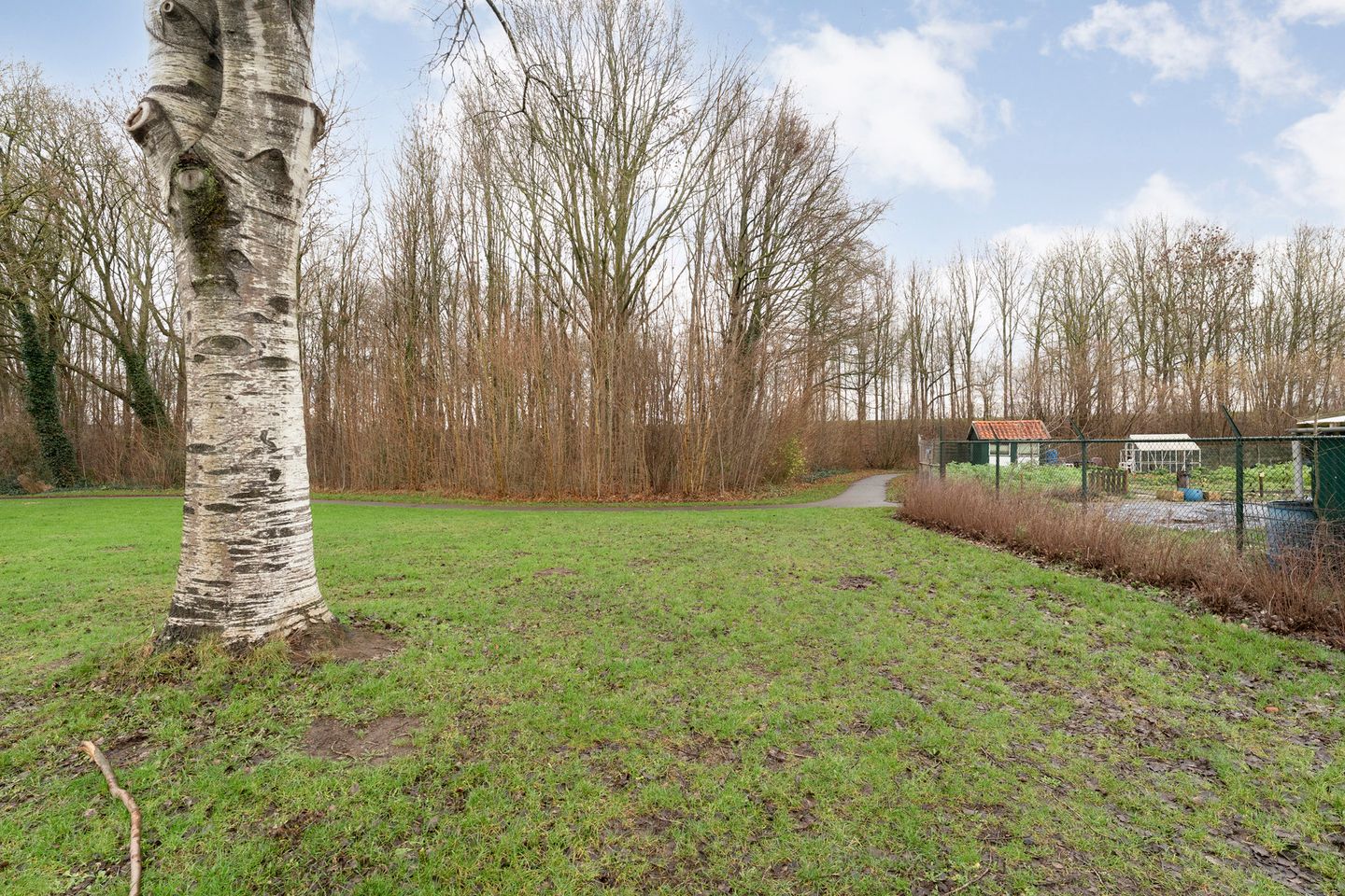 Foto 5 van Betsy Trompetterstraat 17