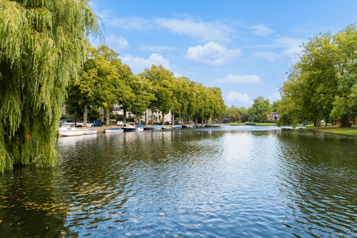 Foto 38 van Frans Halsstraat 54