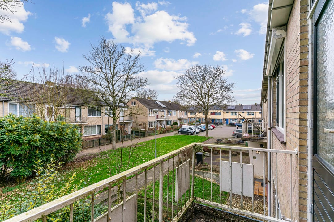 Photo 31 of Hertog Albrechtstraat 232