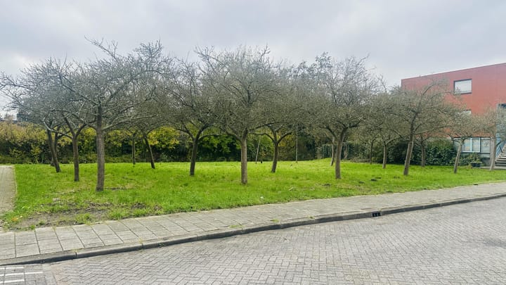 Foto 16 van Oude IJsbaan 27