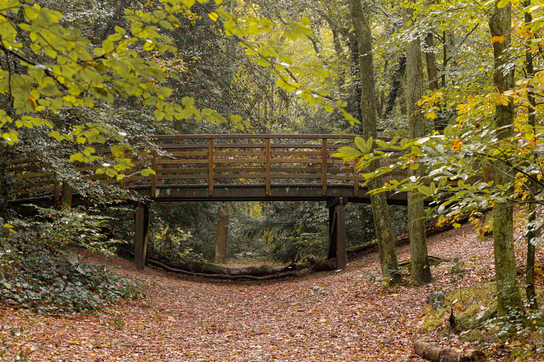 Photo 26 of Kapelweg 133-A