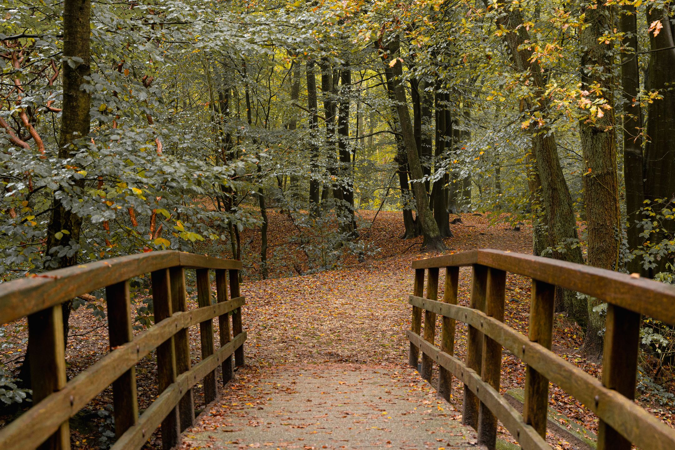 Photo 27 of Kapelweg 133-A