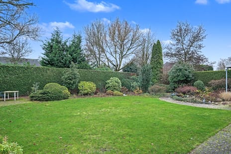 Bloemstok 6 tertiary image