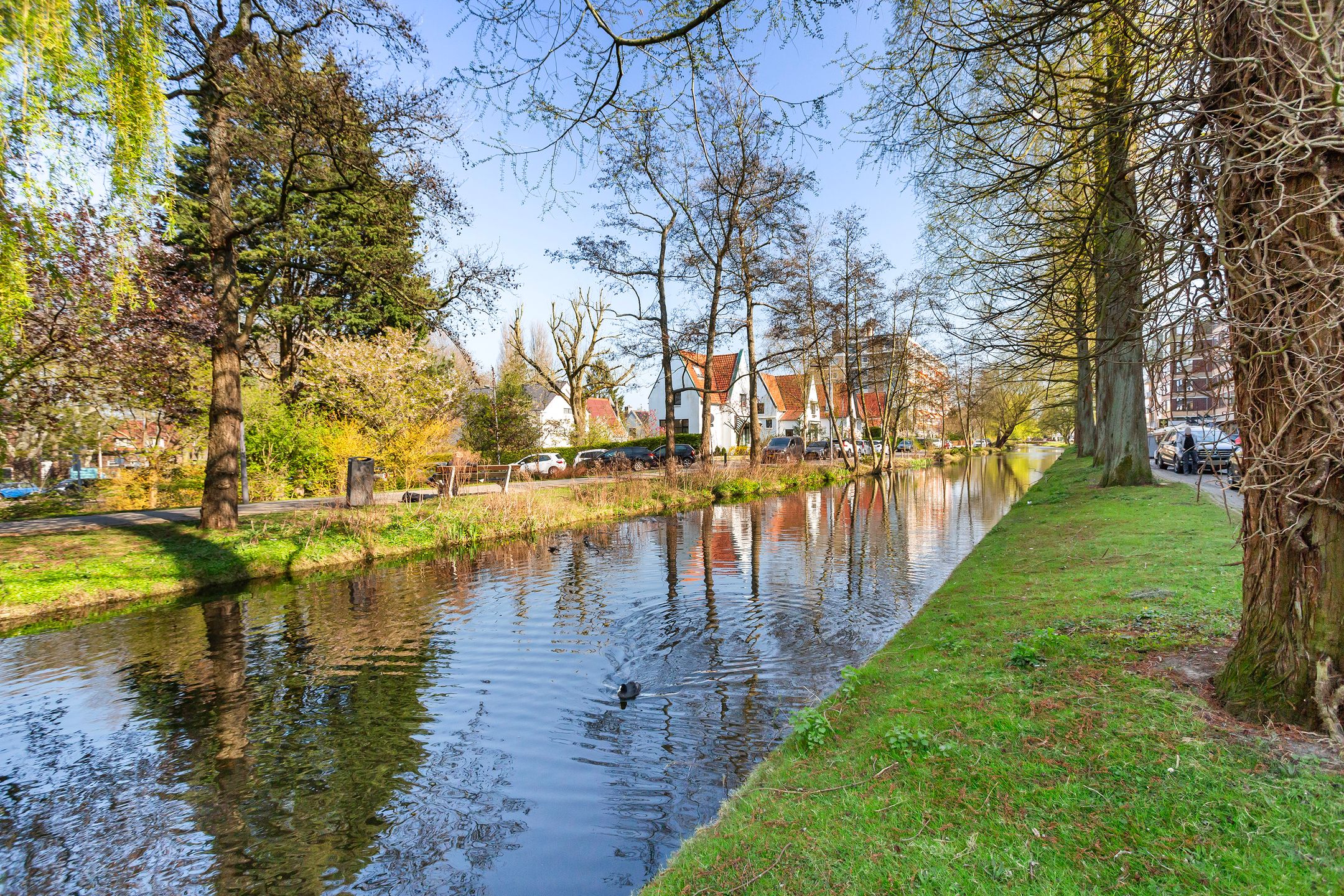 Foto 24 van Streksingel 51