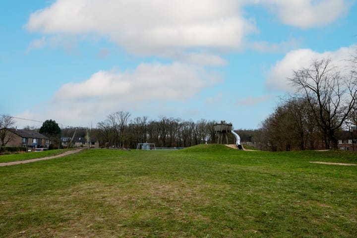 Foto 41 van Hazeleger 91