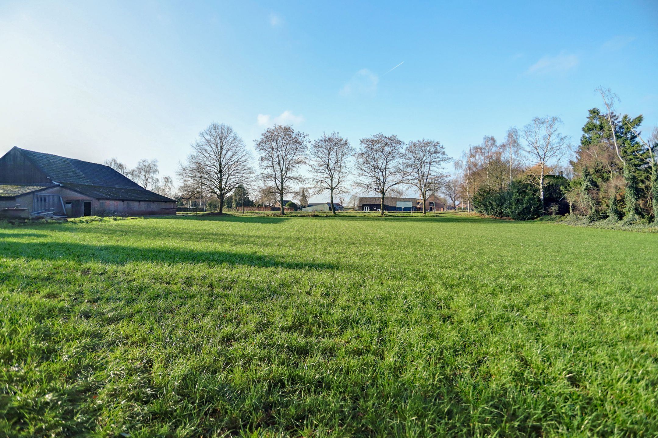 Foto 3 van Biestraat 14