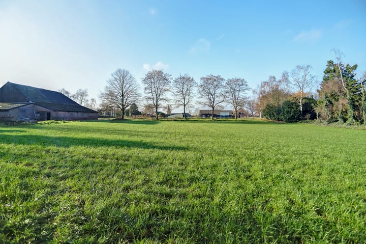 Foto 3 van Biestraat 14