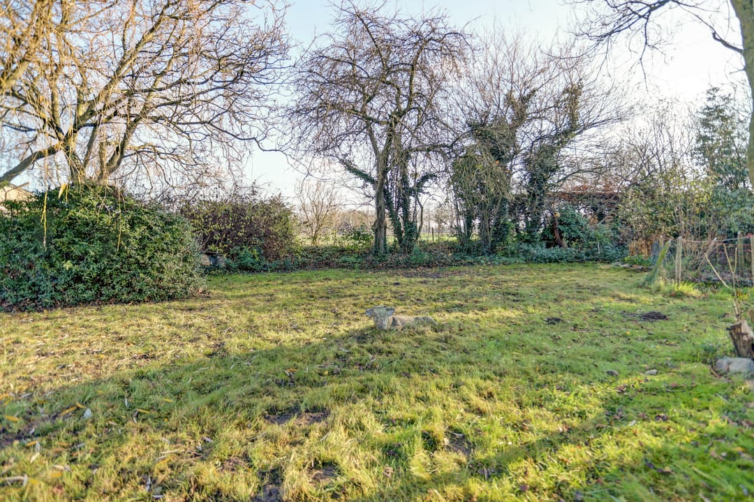 Foto 43 van Biestraat 14