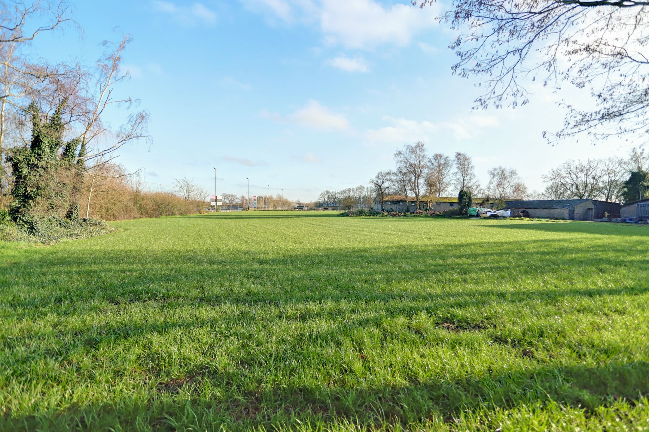 Foto 48 van Biestraat 14