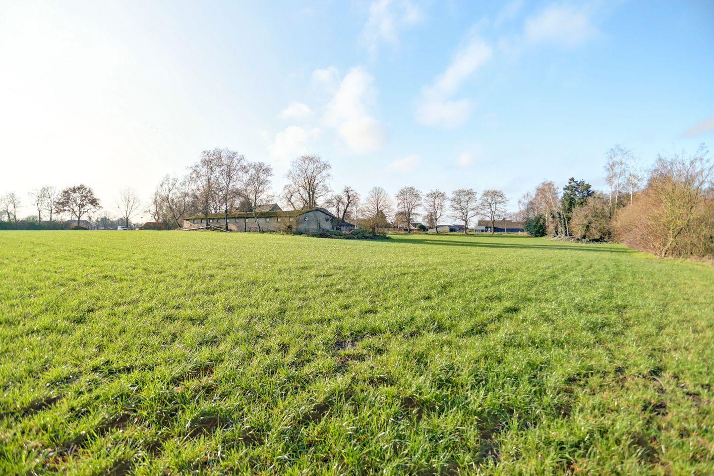 Foto 49 van Biestraat 14