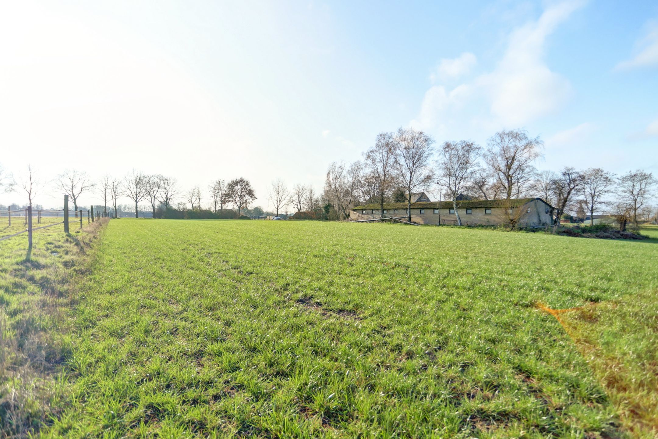 Foto 51 van Biestraat 14