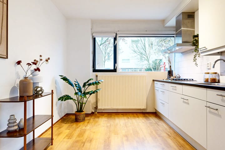 Photo 6 of Koningshof 4