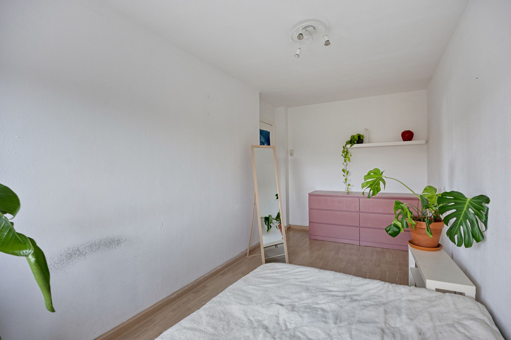 Photo 15 of Willem Barentszstraat 46