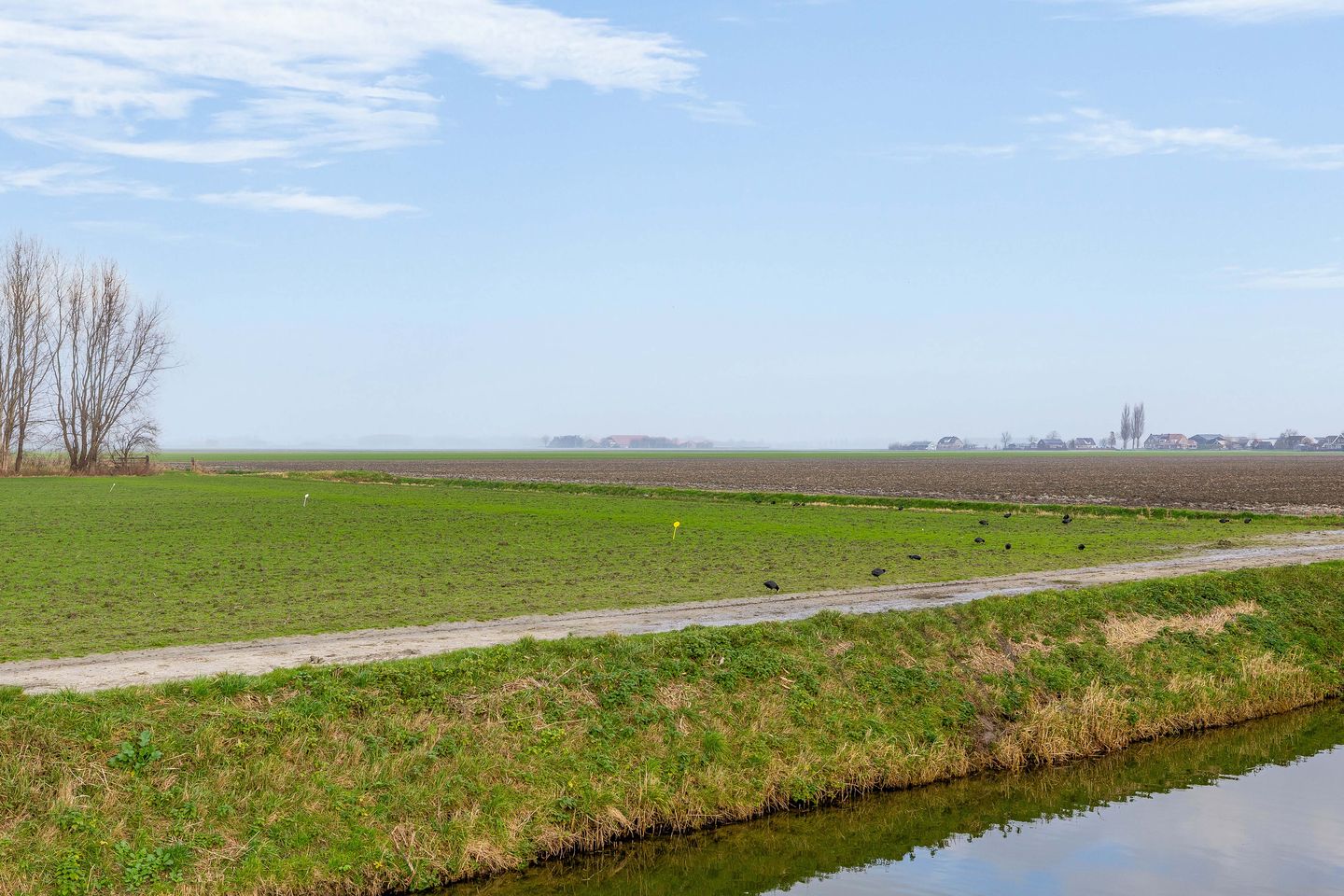 Foto 50 van Van Swaanswijckstraat 35