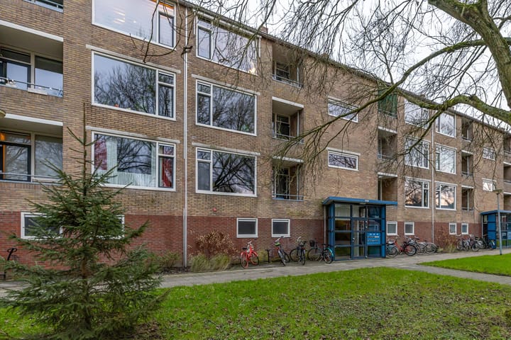 Dierenriemstraat 207