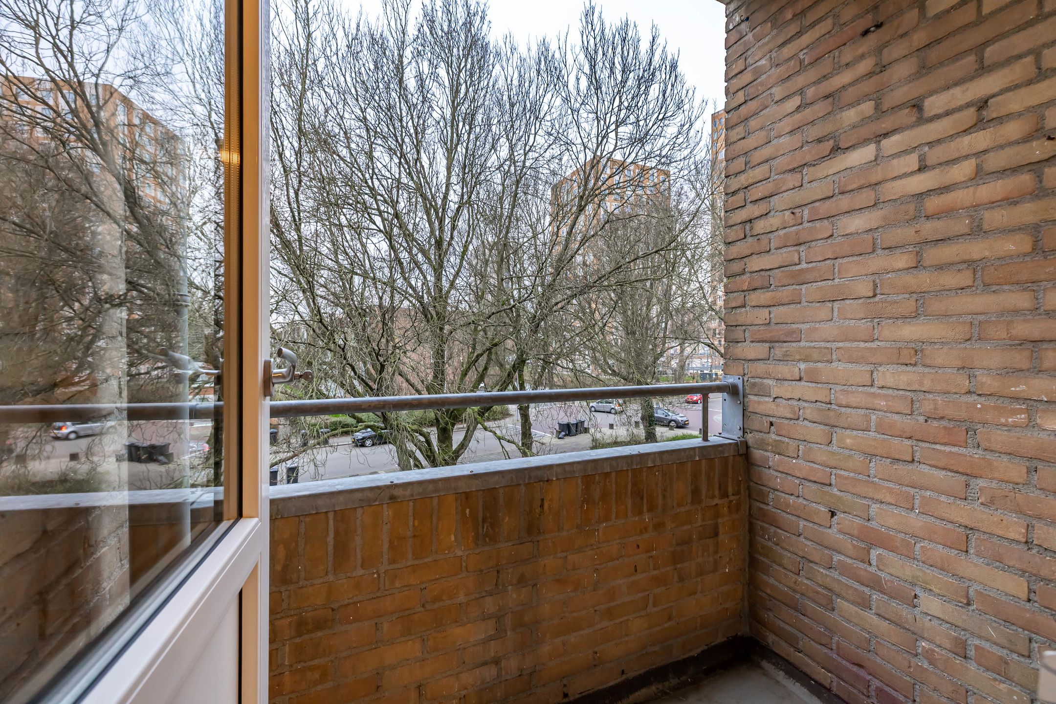 Foto 3 van Dierenriemstraat 207