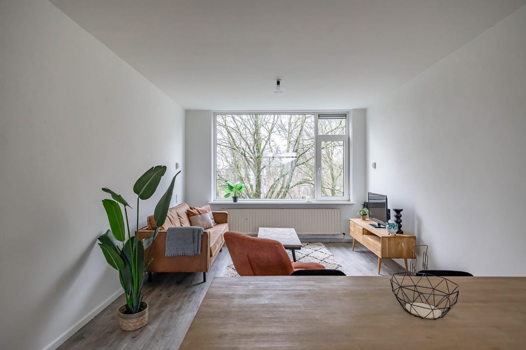 Foto 8 van Dierenriemstraat 207