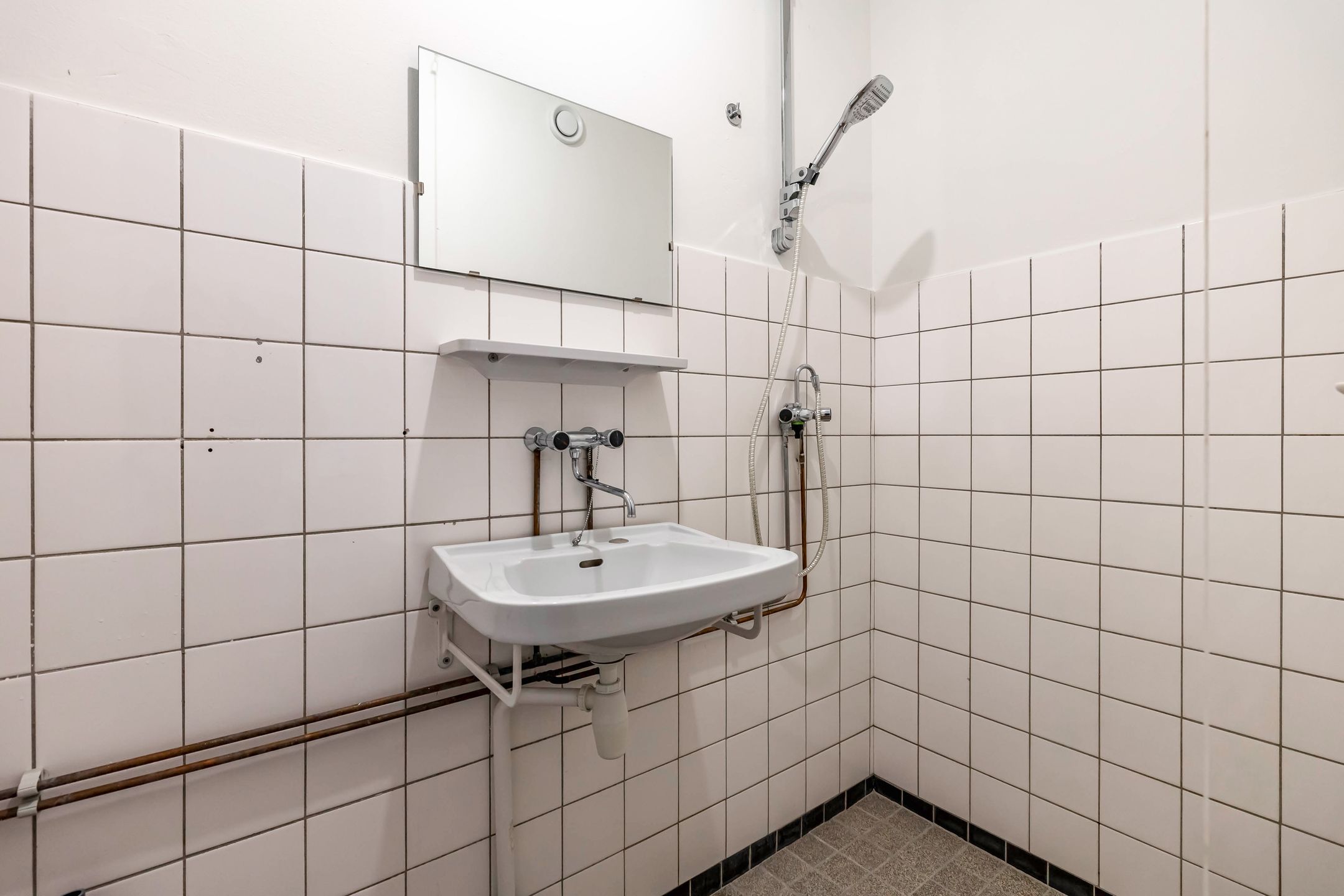 Foto 21 van Dierenriemstraat 207