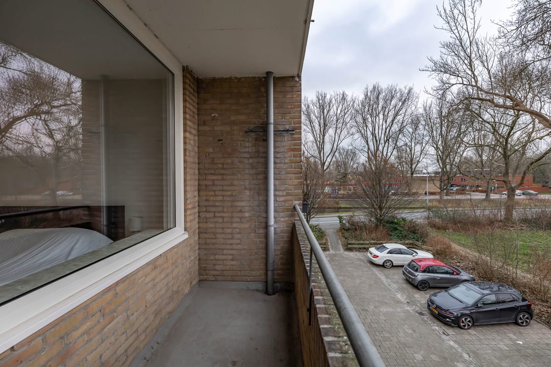 Foto 23 van Dierenriemstraat 207