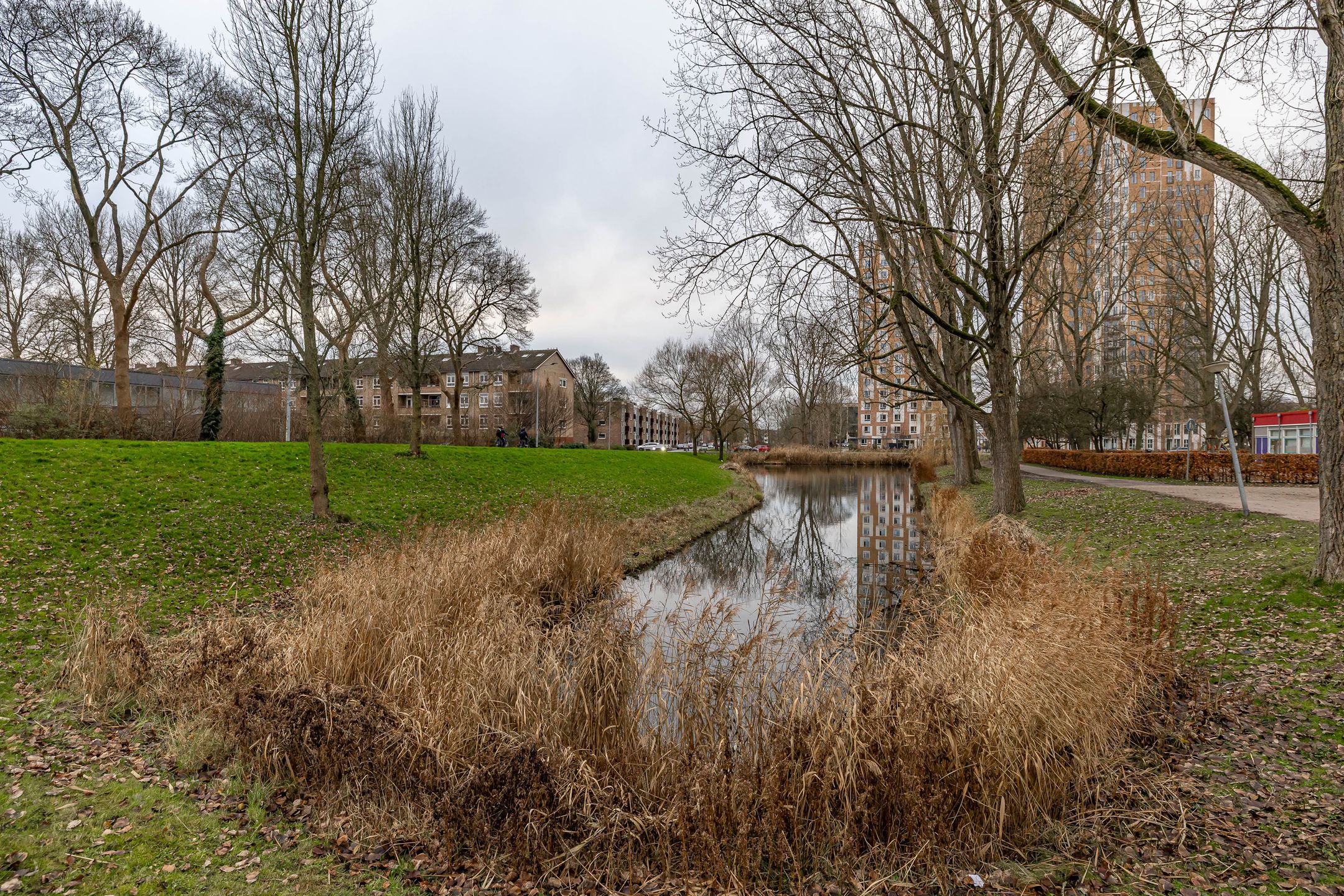 Foto 30 van Dierenriemstraat 207